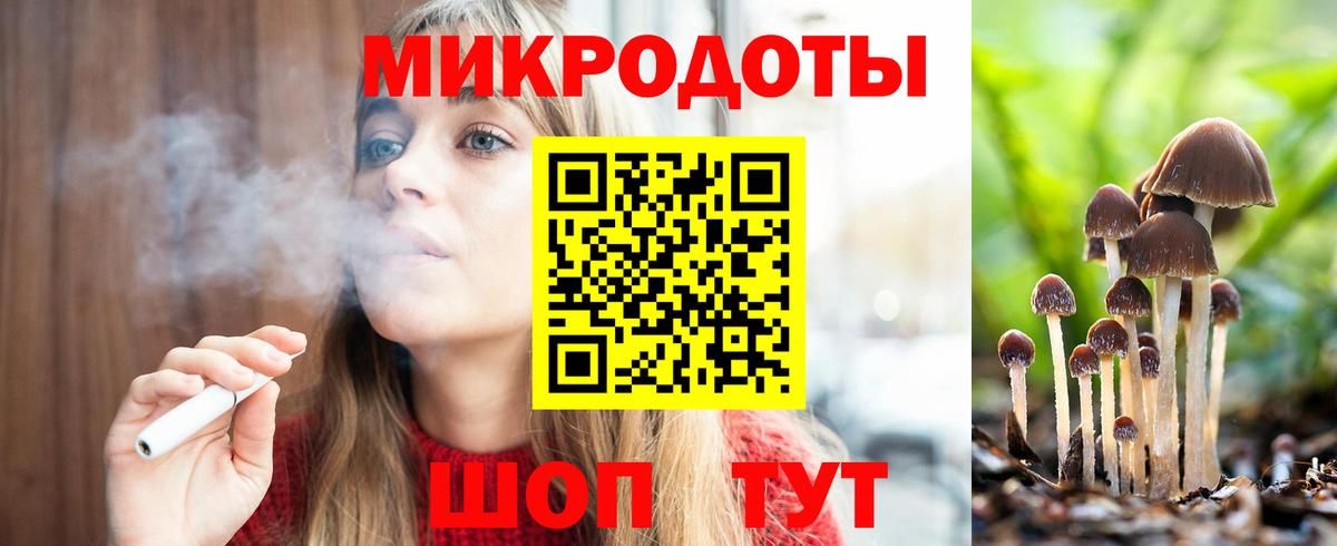 Псилоцибиновые грибы Psilocybe  Вход с VPN  Мытищи 