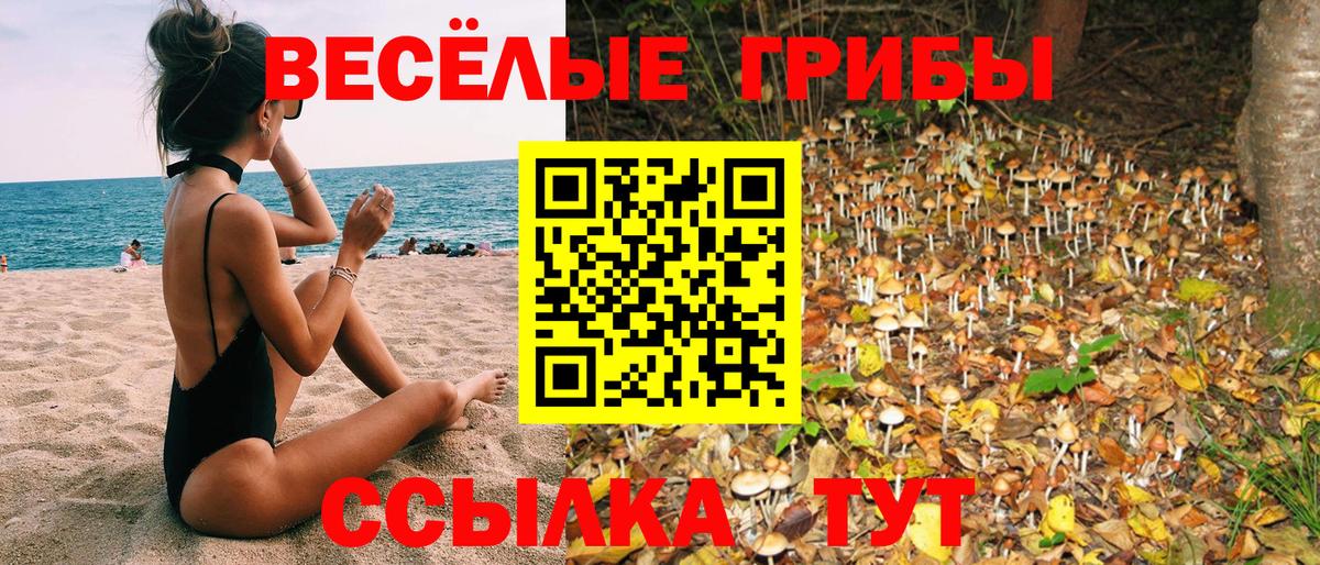 Псилоцибиновые грибы Psilocybine cubensis Мытищи